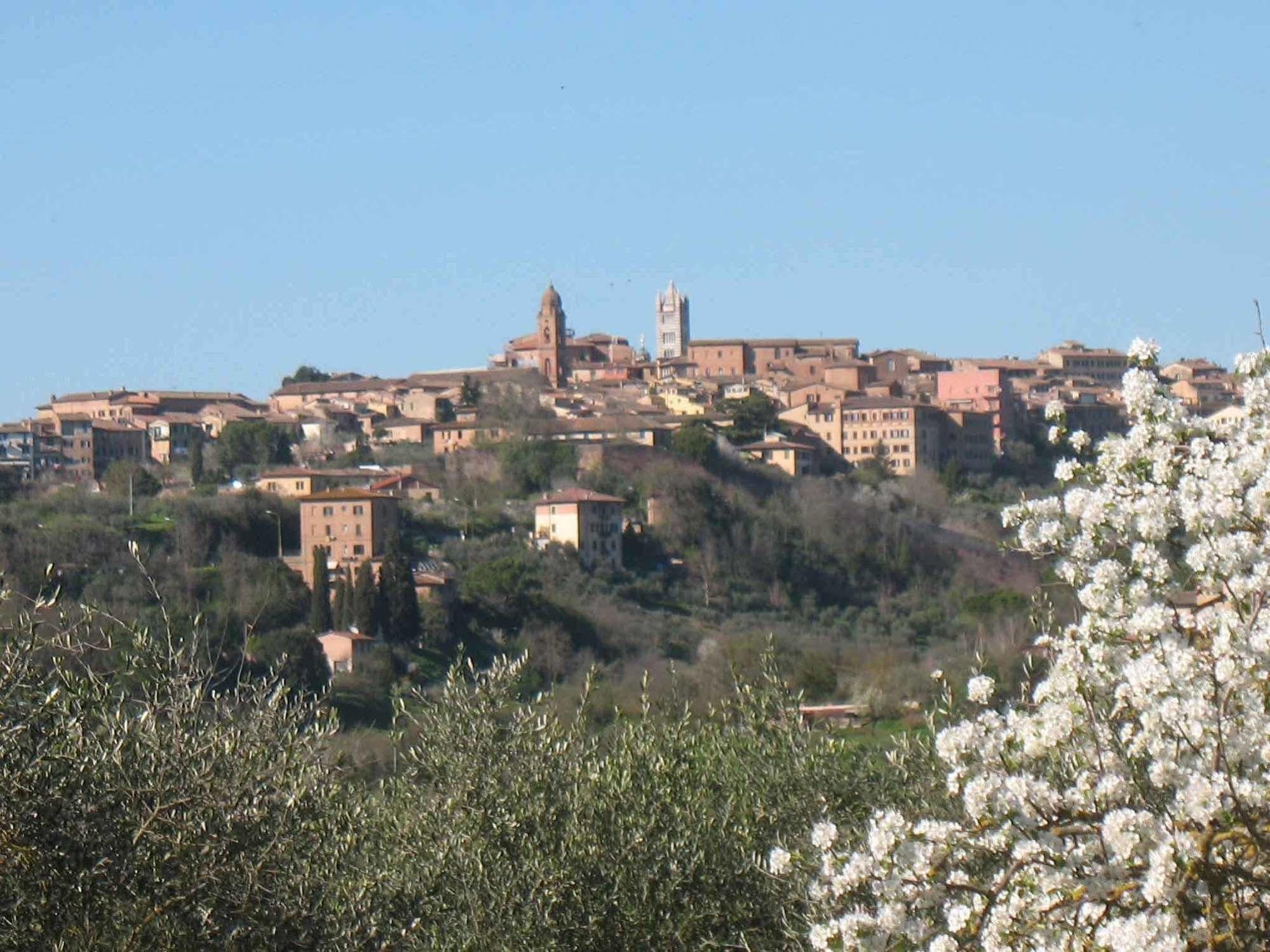 Agriturismo La Torretta Costalpino Exterior photo